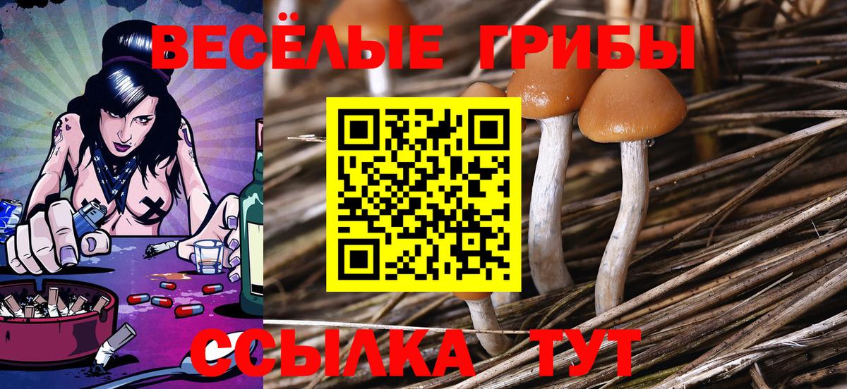 Псилоцибиновые грибы Psilocybe Ростов-на-Дону